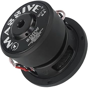 massive 10 inch subwoofers