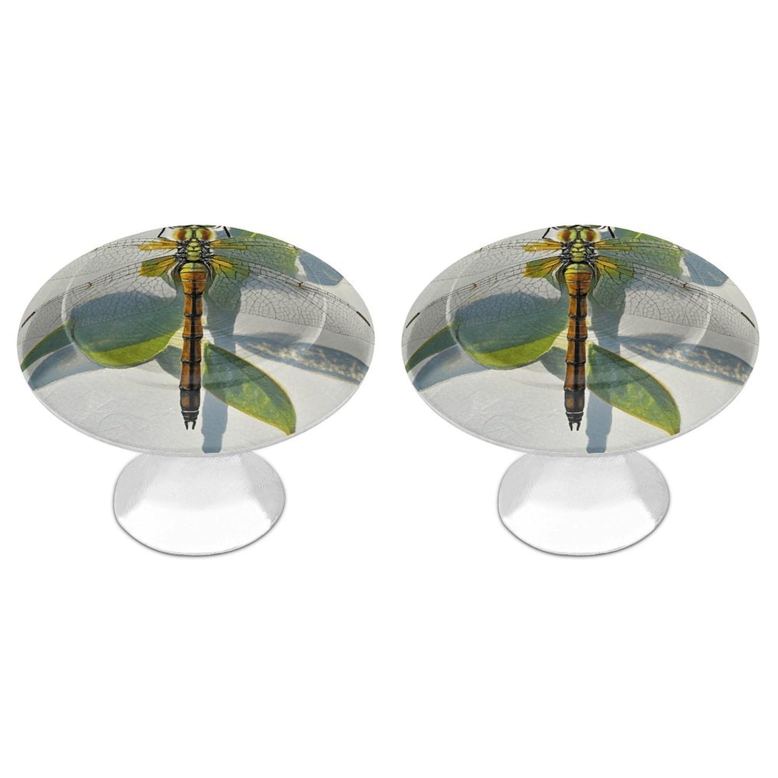 FekiLoot Hand Painted Dragonfly Cabinet Knobs 2 Pack Stainless Steel Round Dresser Drawer Knobs Kitchen Drawer Hardware Dresser Knob Closet Door Pulls Cabinet Handles for Cupboard Drawer Pulls