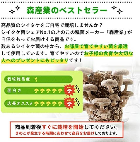 ボトルコンテナ ポットトレー 菌床キノコ栽培 個セット 送料無料 11 000円 きのこ栽培 Lamoutarderie Be ボトルコンテナ ポットトレー 菌床キノコ栽培 個セット 送料無料 11 000円 きのこ栽培 Lamoutarderie Be