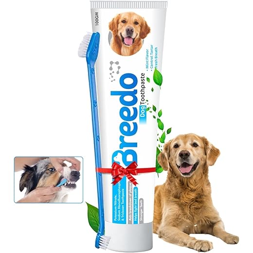 Breedo Cool Mint Toothpaste + Toothbrush Combo 100g