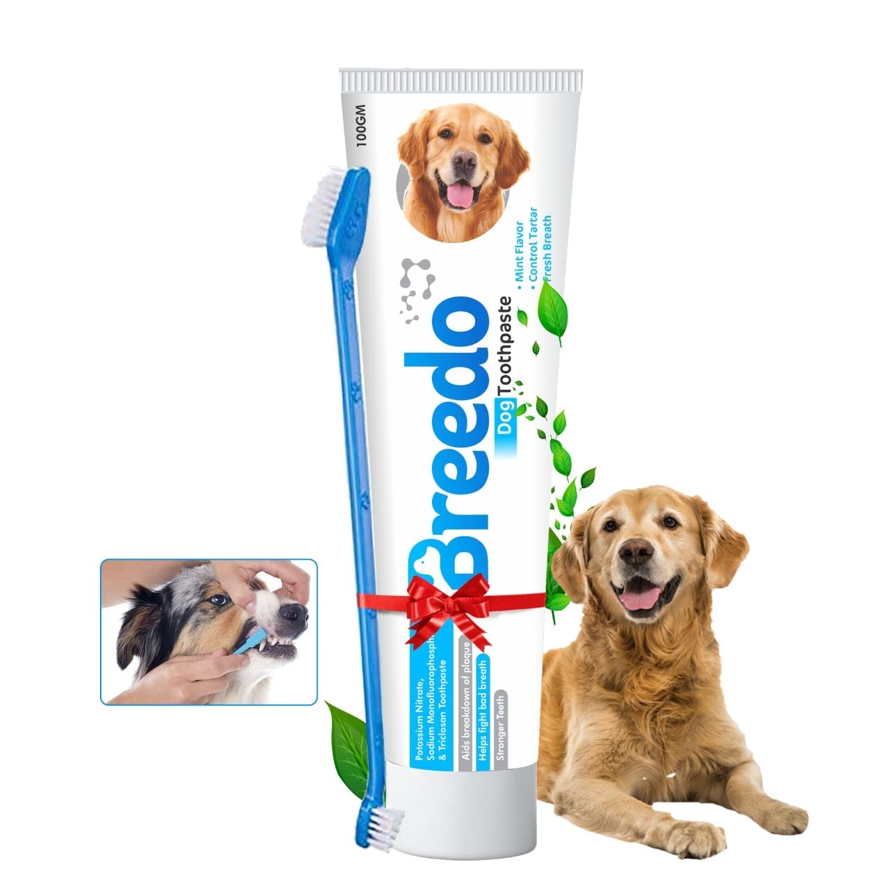 Breedo Cool Mint Fresh Breath Toothpaste And 1Pcs Toothbrush Combo For Dogs-100G|Soothing Mix Of Mint And Cinnamon Oil Suitable For Dogs And Puppies|Dog Toothpaste|Dog Mouth Freshner (B0C1978BSP) Amazon Price History, Amazon Price Tracker