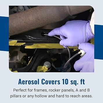 Eastwood Internal Frame Coating Plus Aerosol | Internal Frame Rust Remover | Rust Converter and Prevention Aerosol Spray Undercoating for Vehicles |16 Oz, Matte Black