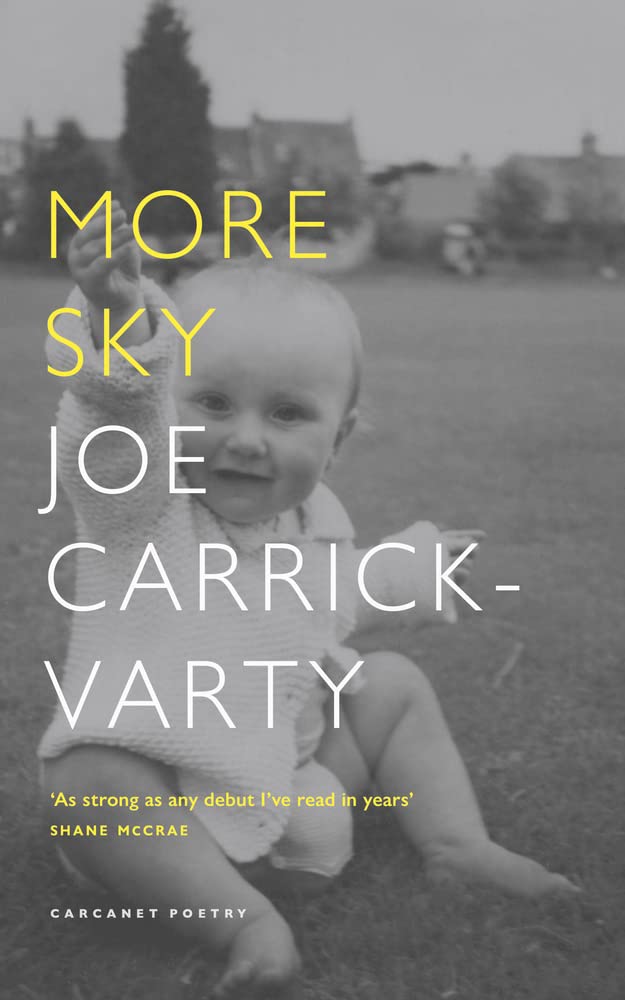 More Sky by Joe Carrick-Varty (Paperback Book)
