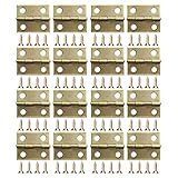 Coobey 60 Pieces Mini Hinges for Cabinets Connectors with 240 Pieces 7mm Replacement Brass Hinge Screws