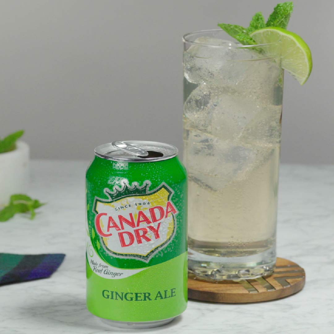 CANADA DRY Ginger Ale 355ml 12er Pack