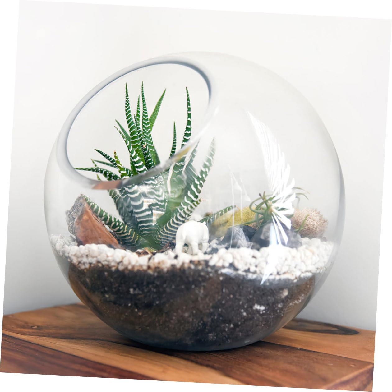VANZACK Set da 3 Contenitori in Vetro per Terrario Micro Paesaggistico, Bottiglie per Piante Grasse da Tavolo, Barattoli Ecologici per Decorazione Interni e Kit Fai da Te