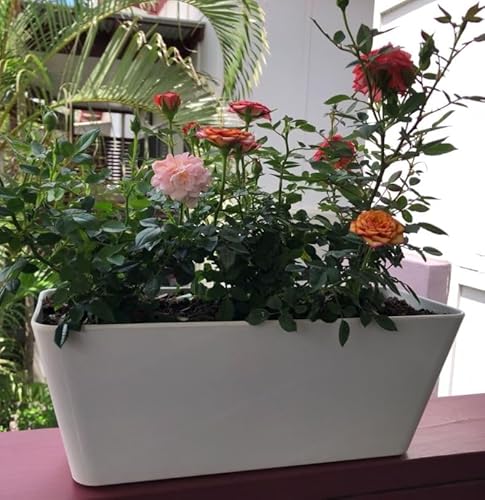 Bamboo Blooms 16 Inch Self-Watering Bamboo Planter thumb #2