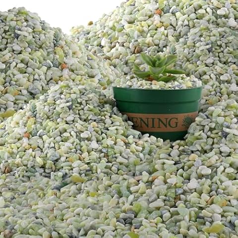 45lb Jade Bean Stone for Succulents,Bonsai,DIY Projects Rocks,Decorative Gravel for Plants and Vases Fillers,Fairy Gardening,Natural Stone Top Dressing for Potted Plants (5mm-8mm) Cover