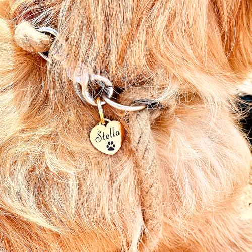 Hundemarke mit Gravur | Personalisiert mit Name, Telefonnummer, Handschrift, Pfote, Herz-Form | ⌀25mm Edelstahl Dog Tag, Namens-Anhänger für Hunde-Halsband, Alpaka, Pferd | Gold
