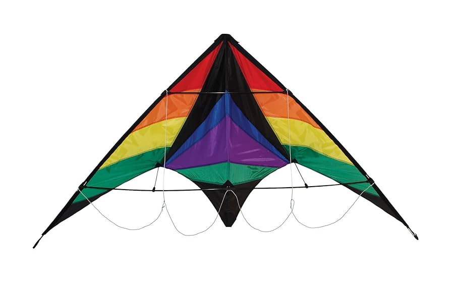 Amazon.com: In the Breeze Rainbow Breeze Sport Kite,68