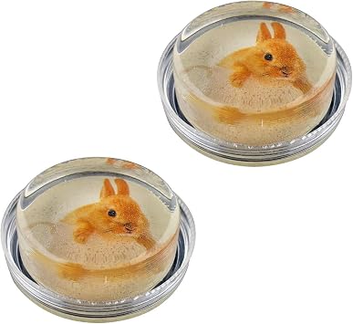 Professional Grade Rosin for Violin, Viola Cello and Erhu, Low Dust, 2 Pack, Rosin with Pet Backgound WYT-QINBAO-505RABBIT