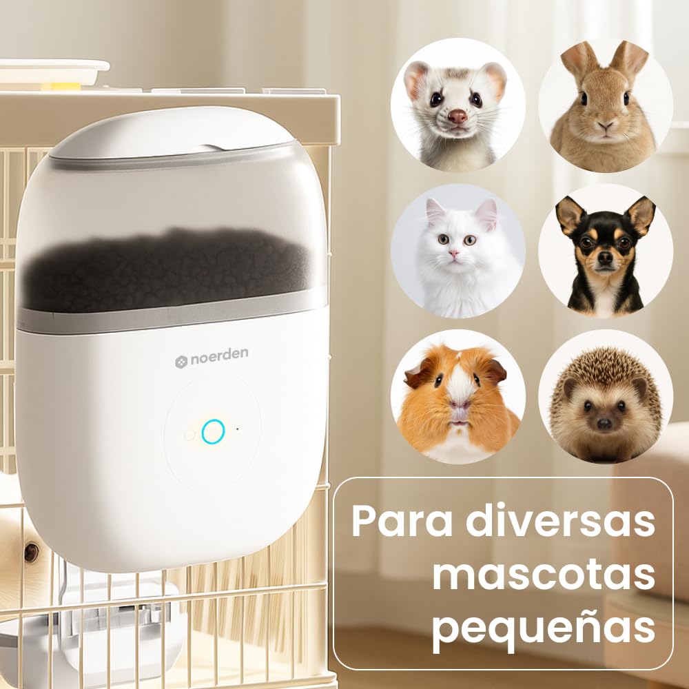 NOERDEN Hoppy Comedero con Cámara para Gatos y Perros Pequeños, Video en Vivo y Audio Bidireccional, Alimentación Programada hasta 10 Comidas al Día