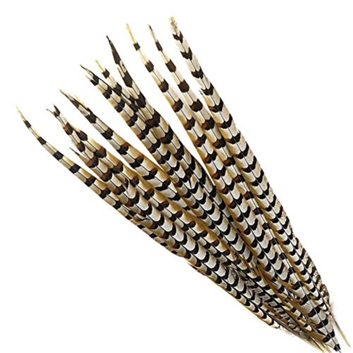 Piume di coda di fagiano lunghe 10-180 cm naturali per artigianato piume di fagiano decorazione accessori di carnevale-160-170 cm 163-172,7 cm, 10 pezzi