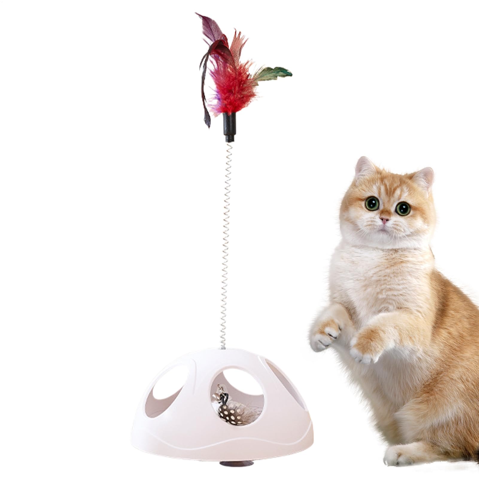 Accesorios para mascotas con muelle: estimulación en ventanas de casa