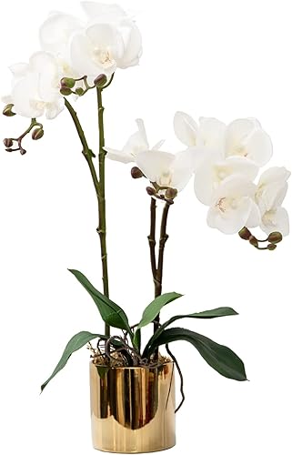CXGS Flores artificiales de orquídeas con florero flores de tacto real orquídeas sintéticas para centros de mesa plantas de orquídea vívida
