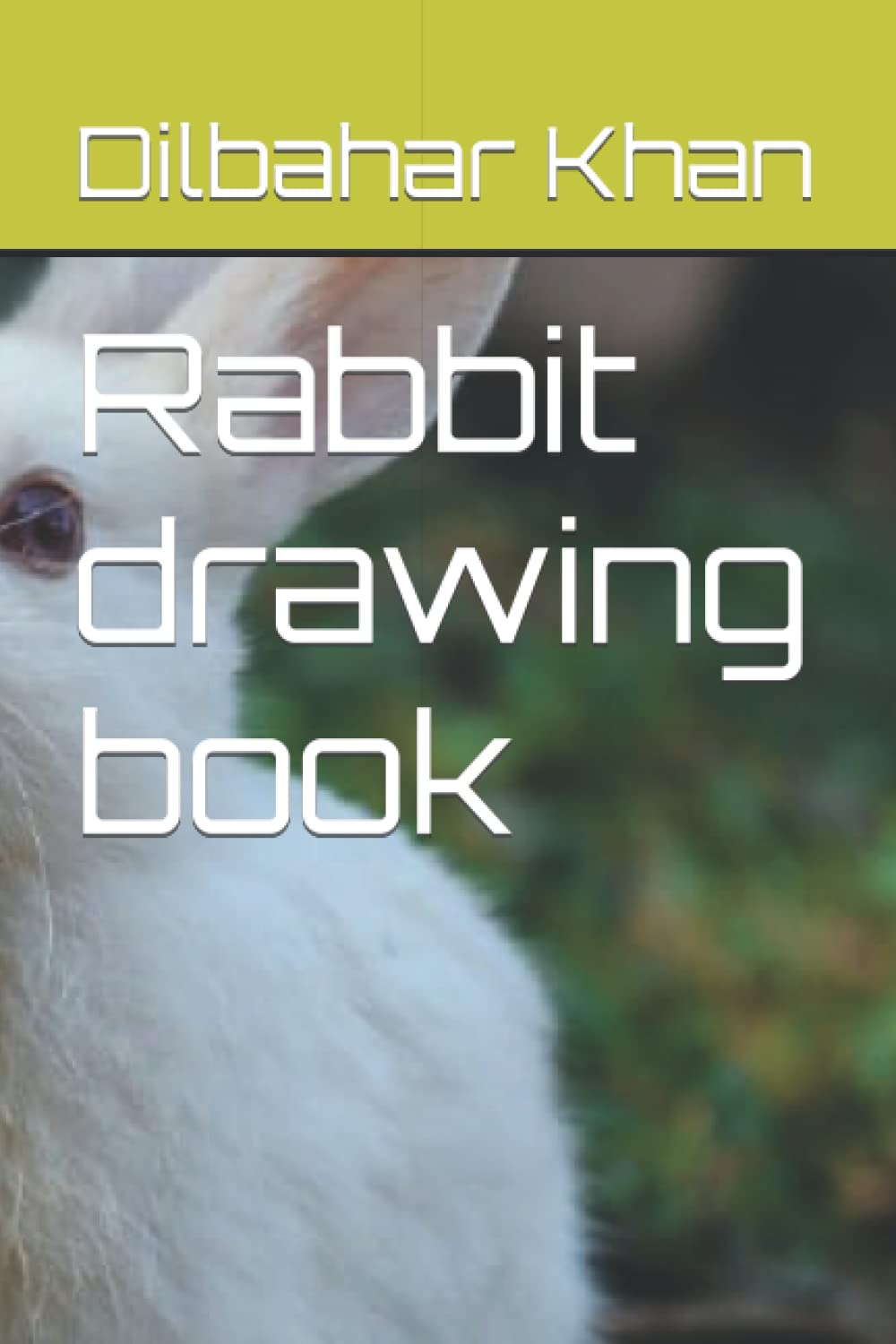 Rabbit drawing book