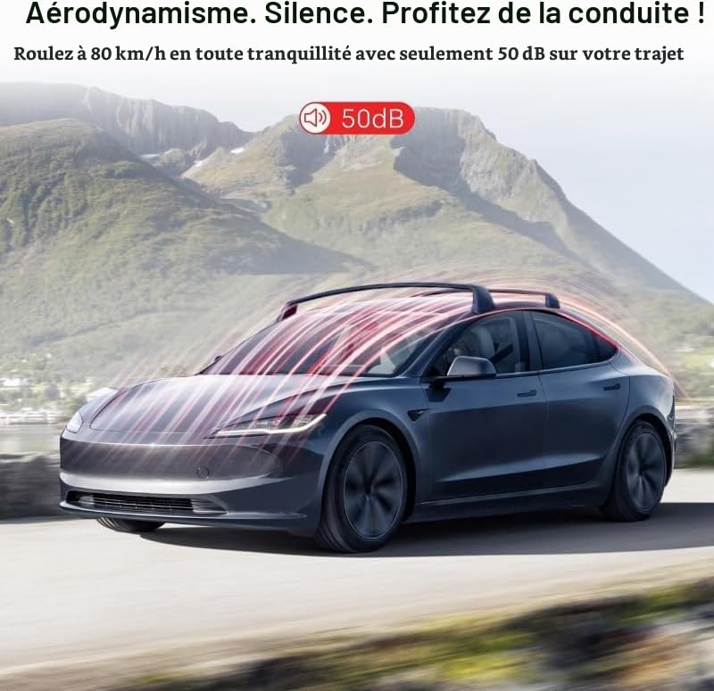 Barres de Toit transversales Haut de Gamme compatibles pour Tesla Model 3/Y 2017-2024, Galerie de Toit Haute capacité pour Coffre de Toit et Porte-vélo
