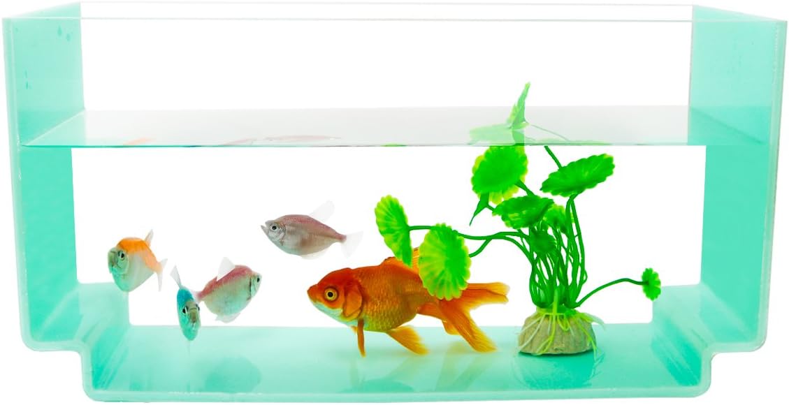 NewCrea 1.3 Gallon Fish Tank,Fish Bowl For Betta Fish,Acrylic Aquarium for Home,Office Desk,Green,Rectangle