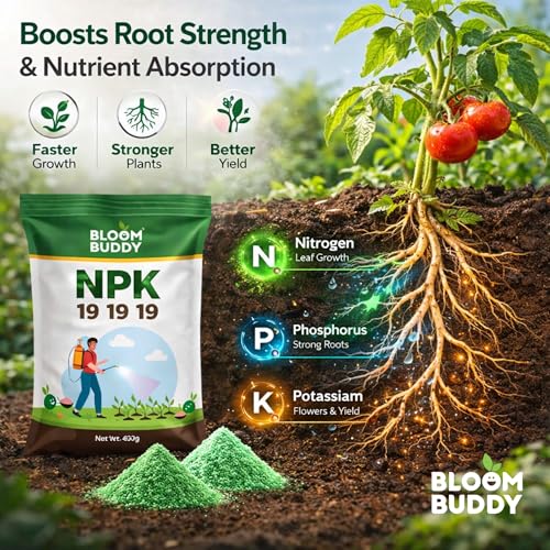 Image of BloomBuddy NPK 19:19:19 Fertilizer for Plants | Water Soluble All-Purpose Plant Food for Growth, Flowering & Fruiting | Indoor & Garden Plants - 400g