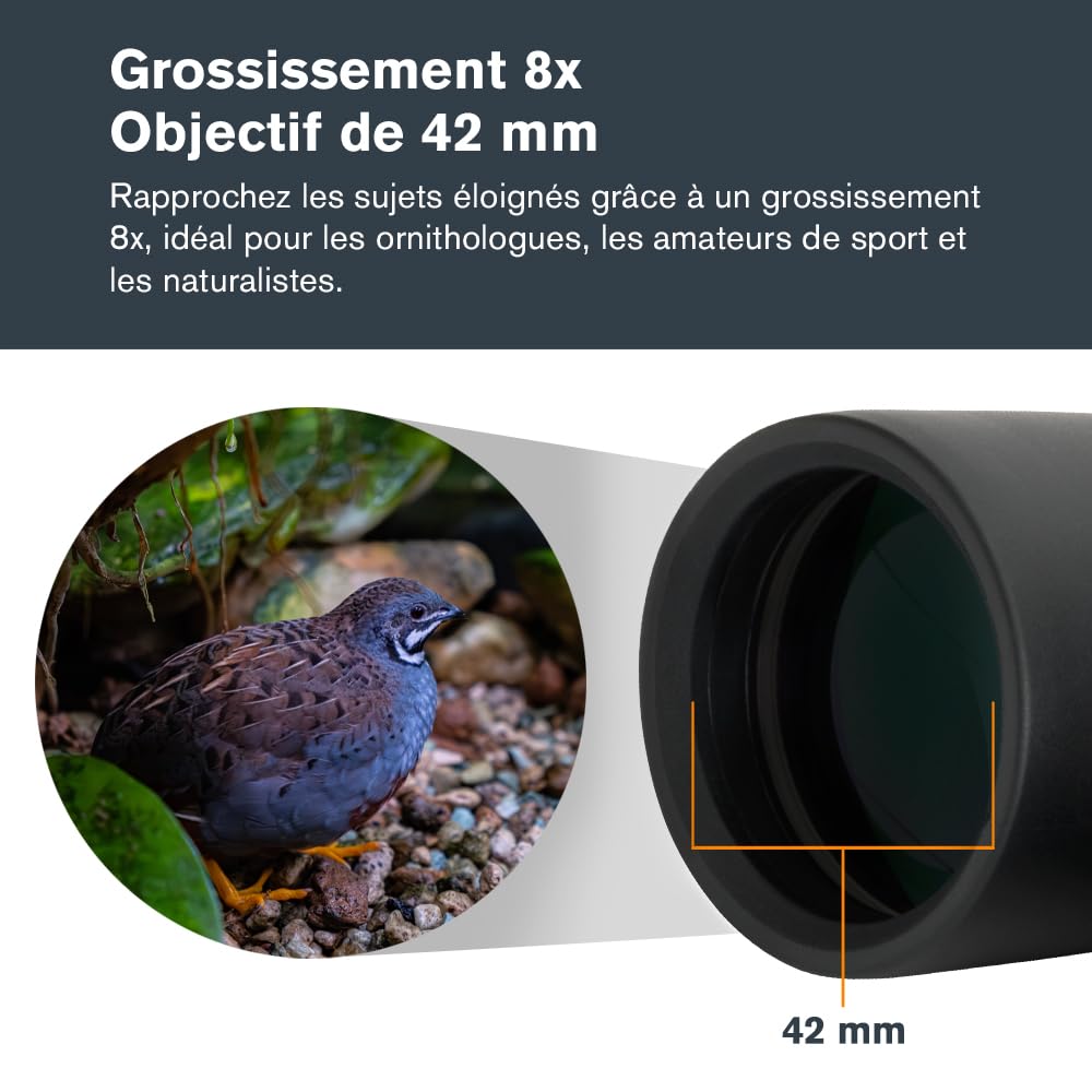 Celestron 71346 Outland X 8x42 Roof Prism Binoculars, Black