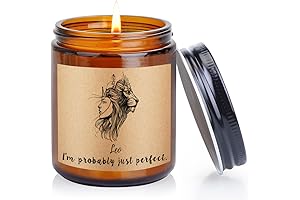 Funny Leo Candle Birthday Gifts