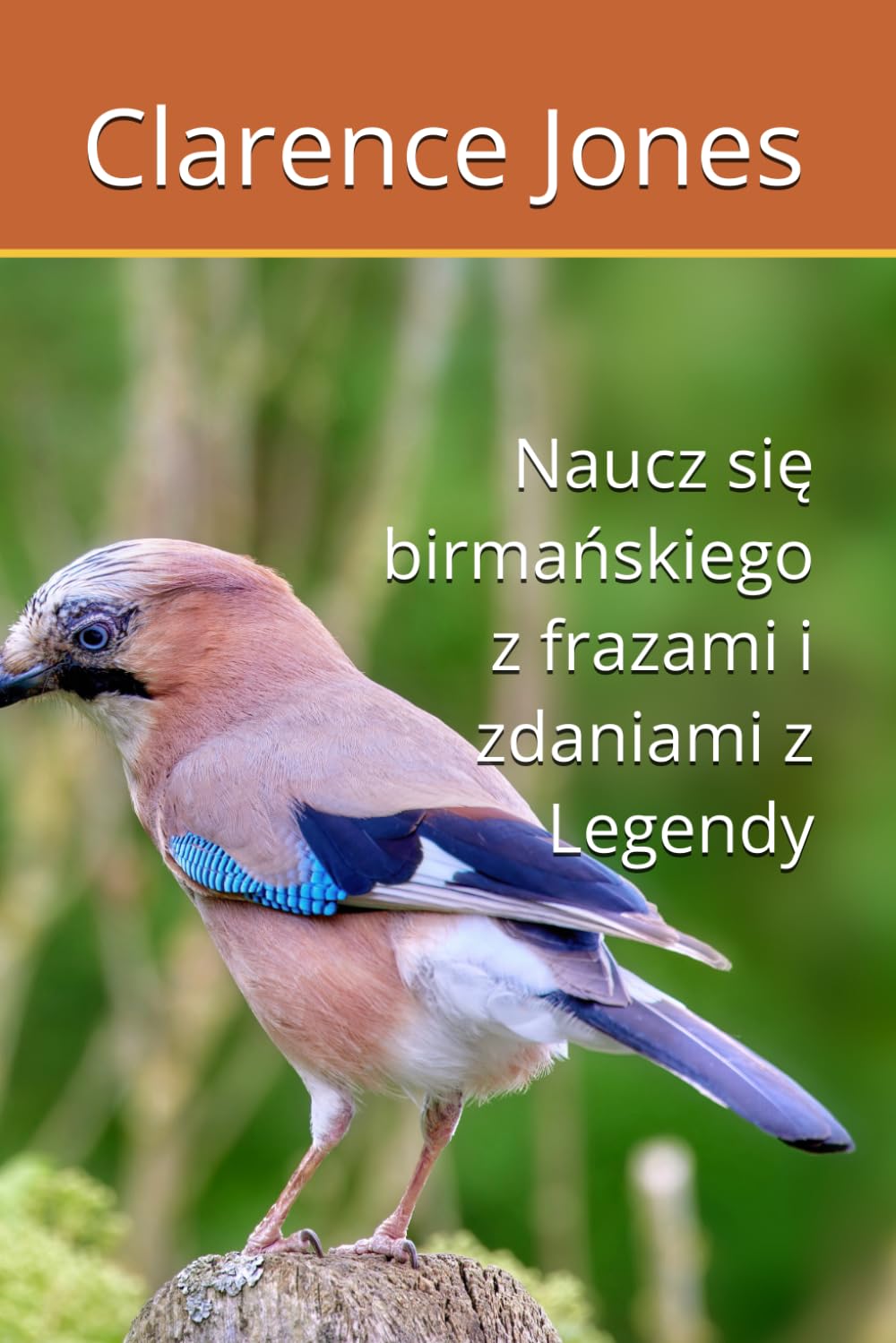Naucz się birmańskiego z frazami i zdaniami z Legendy