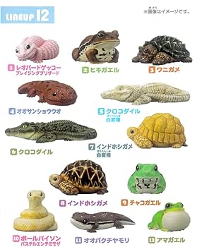 Amazon.co.jp: てのりフレンズ12 全12種 ［フルコンプ］ : 食品・飲料