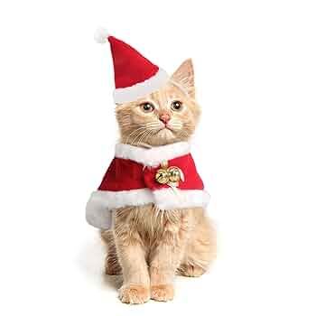 クリスマス　赤　猫　キャット　トレーナー　レッド　レトロ　昭和 クリスマス赤猫キャットトレーナーレッドレトロ昭和