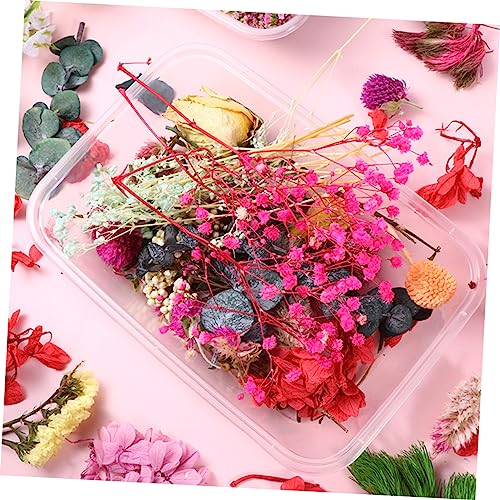 Set de Flores Secas DIY 10 Flores Naturales para Manualidades miniatura 6