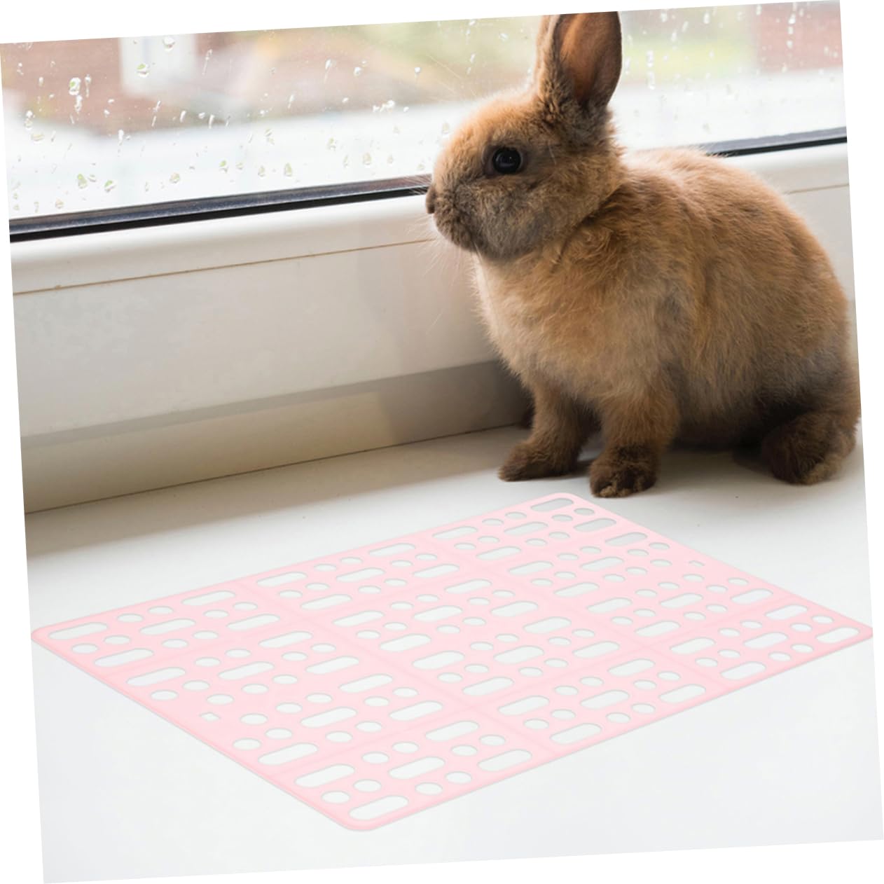 Happyyami -Pack Kaninchenkäfigmatte aus Abs mit Kunststofffüßen 6 Stück Pflegeleicht Pfotenschutz für Ratten und Hamster Hasenstall Zubehör Draußen