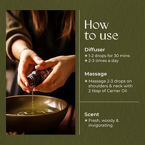 Miniatura 5 de Gya Labs Mezcla de aceites esenciales de árbol de Navidad para difusor, aceites esenciales de Navidad para aromaterapia, vacaciones y bricolaje,