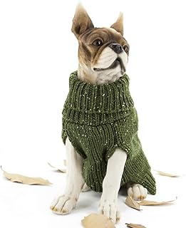 green dog sweater