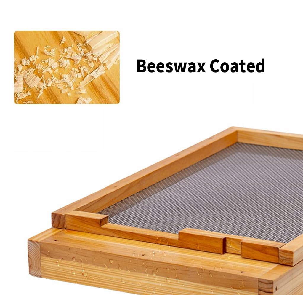 BeeCastle 2 pezzi alveare schermato inferiore immerso in 100% cera d'api, pannello inferiore schermato con legno massello (10 cornice)