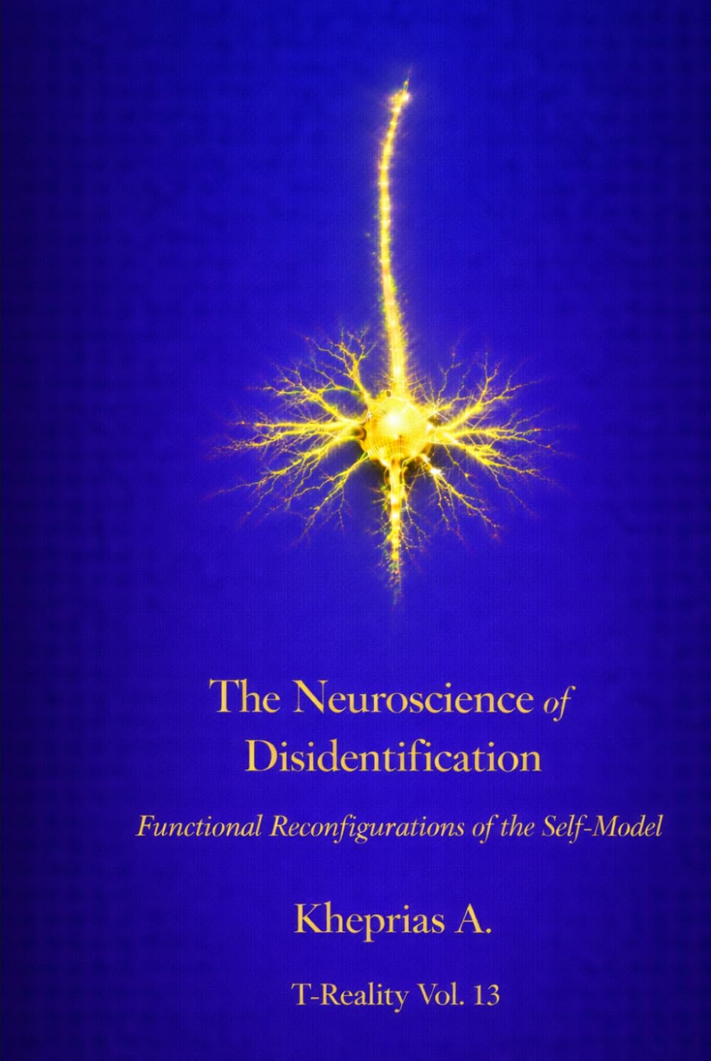 The Neuroscience of Disidentification: Functional Reconfigurations of the Self-Model (Series: T-Reality – Philosophy of Mind and Neurophilosophy)