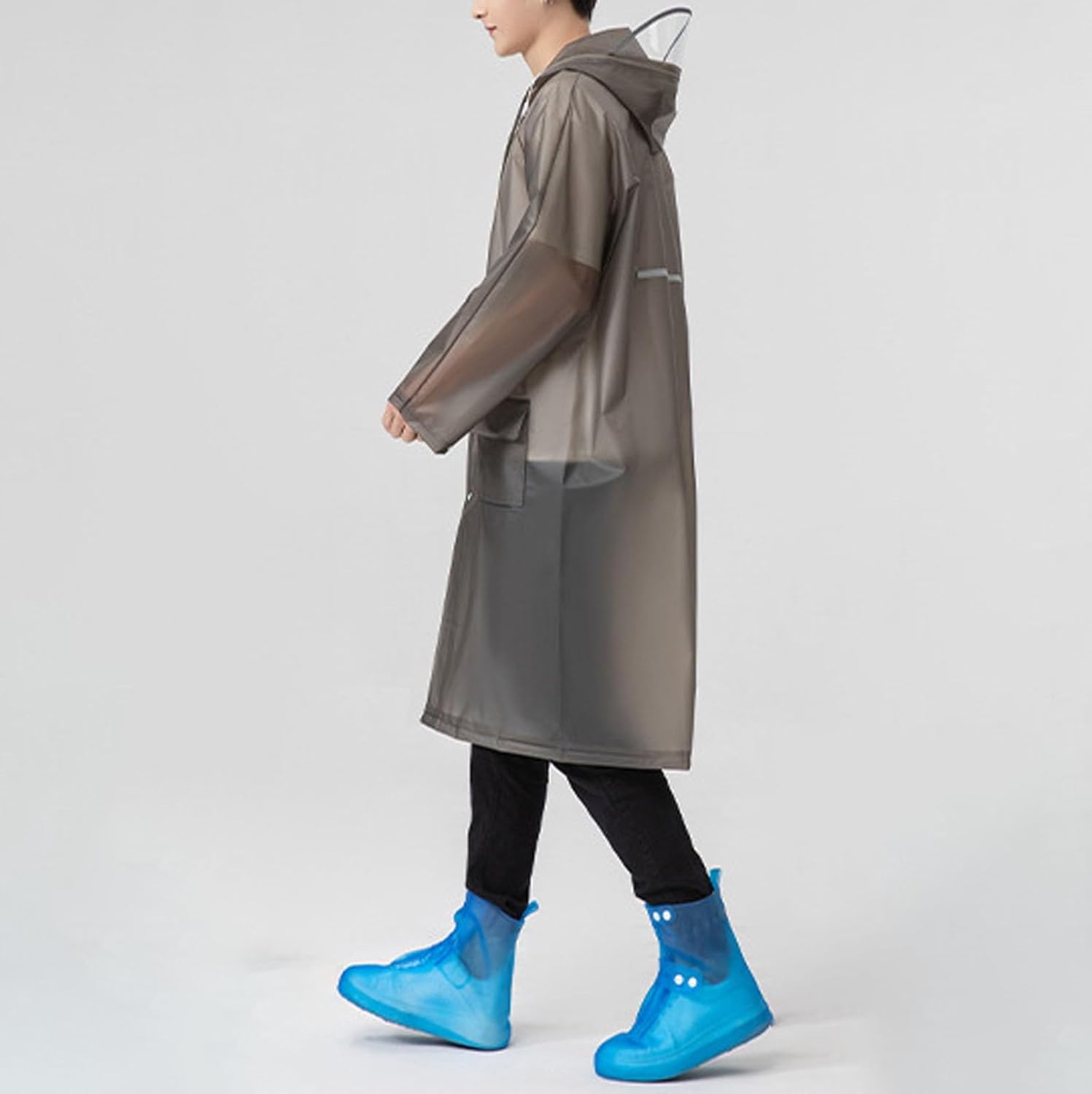 ドイツ産 ゲンゴロウモドキ 31mm ドイツではプロテクトかかってます