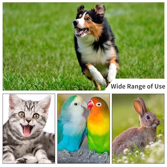 Foto 6 de 8 de Adiestramiento de Mascotas Clicker Ajustable 3 Engranajes Adiestramiento de Perros Pata de Clicker…