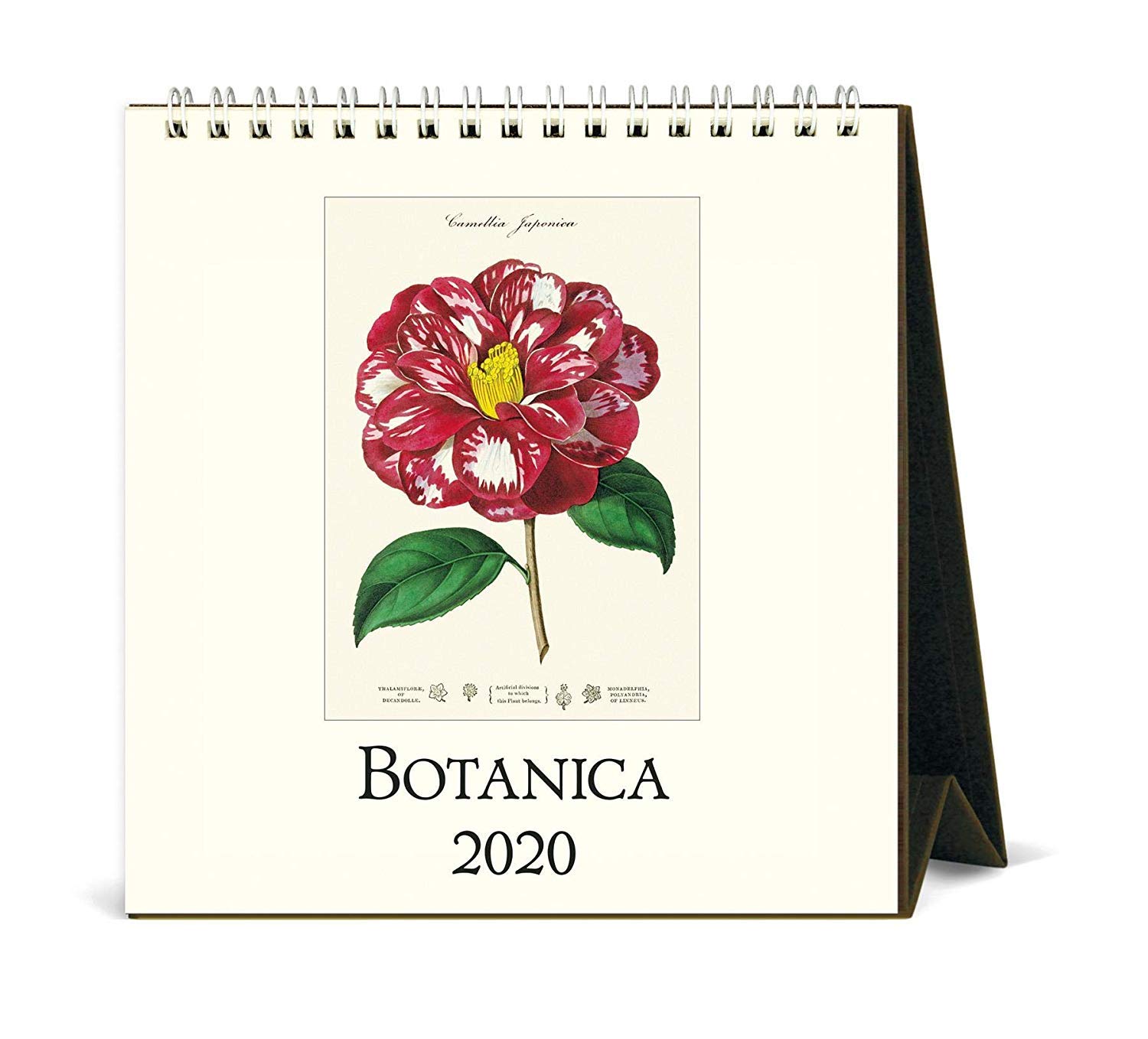 2020 Botanica Desk Calendar