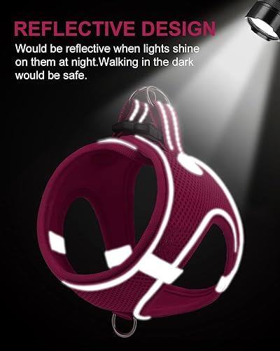 Miniatura 4 de Joytale arnés para perro, 12 colores, chaleco de malla transpirable, arnés acolchado suave reflectante para cachorros y perros extra pequeños,