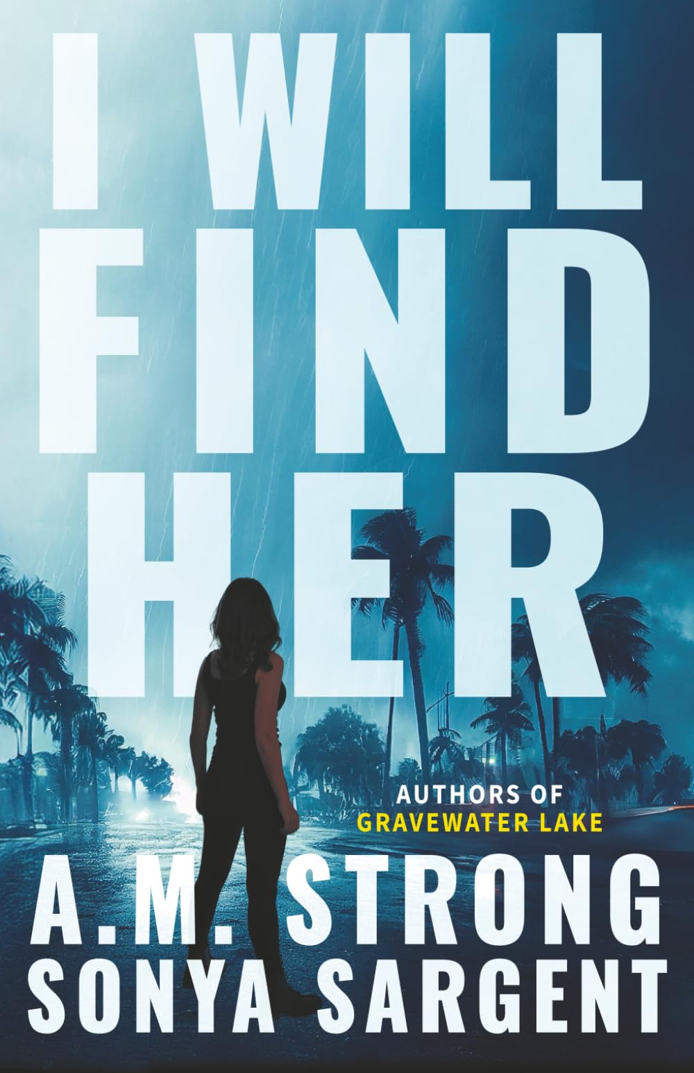 I Will Find Her (Patterson Blake FBI Mystery Thrillers)