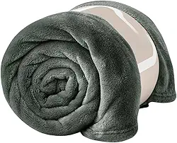 Manta Casal Soft Antialérgica 2,00x1,80 Mt (Cinza)