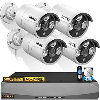 Amazon.co.jp: 【最強翌日配送・4K800万画素録画機・AI人体検知