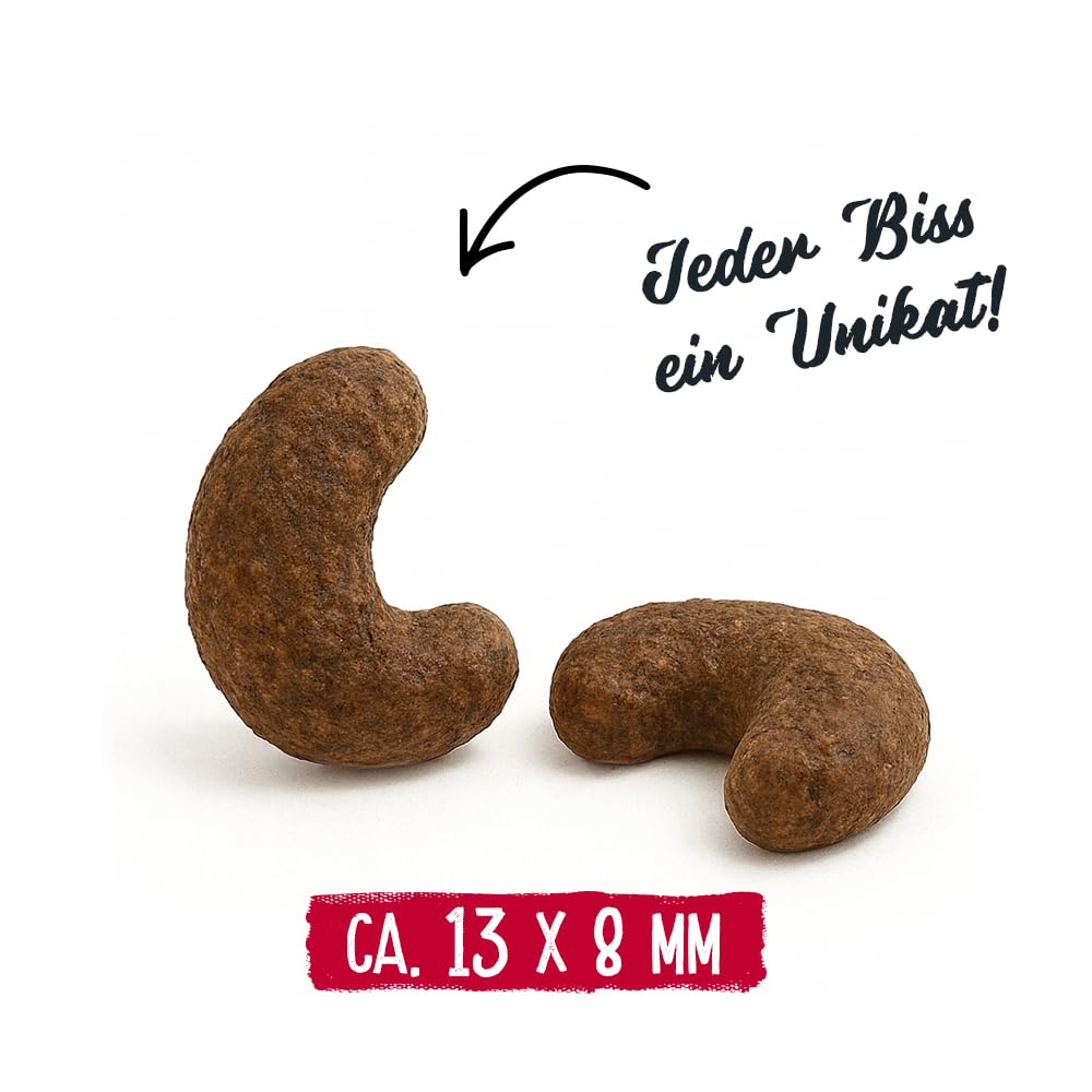 Chicopee Holistic Nature Line | Adult Urinary | Katzenfutter trocken | Geflügel & Leber | Unterstützt Harnwege | ohne glutenhaltiges Getreide | Inspiriert von der Natur Kanadas | 8 kg