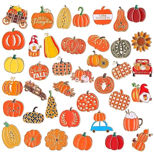 Image of Giegxin 40 Pcs Thanksgiving Pumpkin Pins for Backpacks Cute Sunflowers Fall Spice Lapel Pins Autumn Holiday Seasonal Brooch for Clothes Bags Accessories Gifts