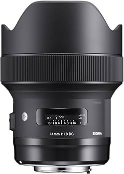 Amazon.com : 14mm F1.8 DG HSM Art for L-Mount Black : Electronics