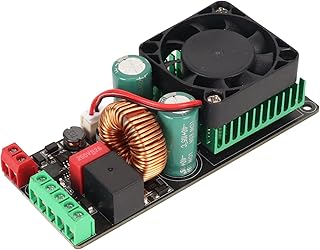 500W Power Amplifier Board, HiFi Single Channel Class D Sound Amplifier Module, Mono Audio Power Amp Speaker Circuit Protection Board for DIY Sound System