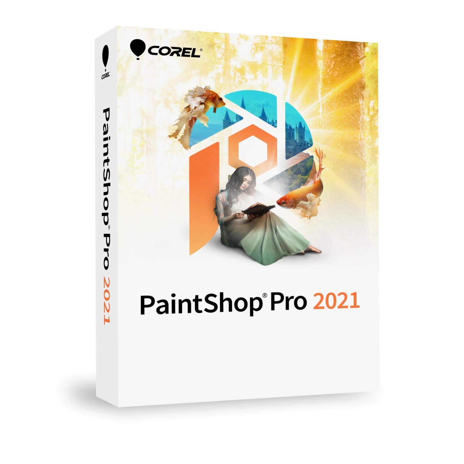 Corel PaintShop Pro 2021 Vollversion, 1 Lizenz Windows Bildbearbeitung