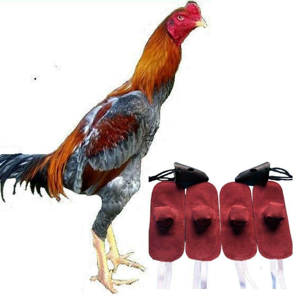 4 pièces coq mitaine Para Gallos poule casque combat Protection animaux de la ferme coqs poulailler accessoires (Color : 4pcs)