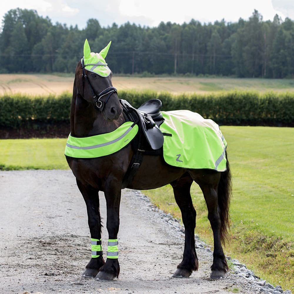 HORZE Bandas Reflectantes para Patas