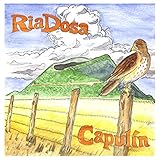  \'86 Cadillac DeVille