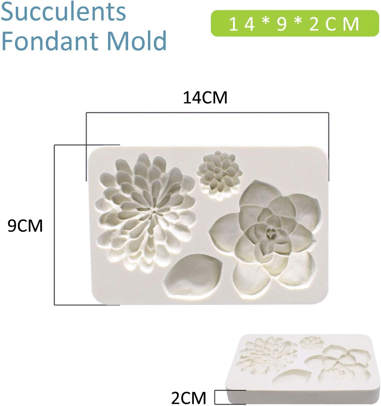 2 Pack Succulent & Fern Leaf Silicone Fondant Mold